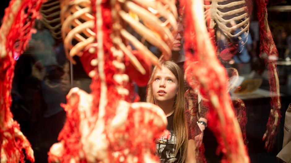 Körperwelten: 90'000 Personen besuchen die Ausstellung