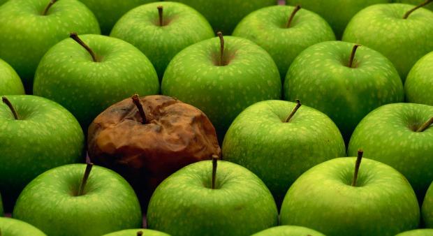 Apple: Fitter Marktleader oder faule Frucht?