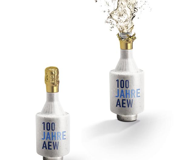 Schaerer und Partner: Relaunch zum 100-Jahre-Jubiläum