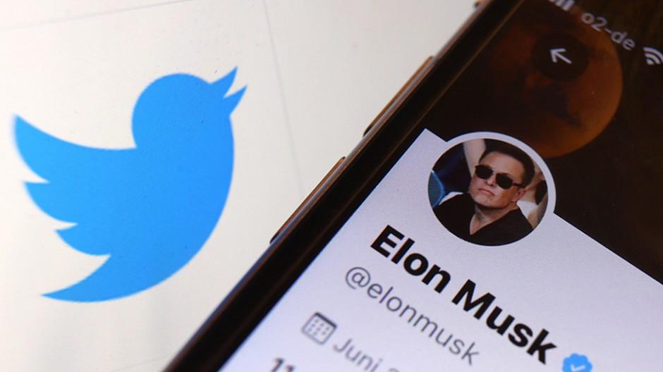 Twitter: Aktionäre stimmen für Übernahme durch Musk