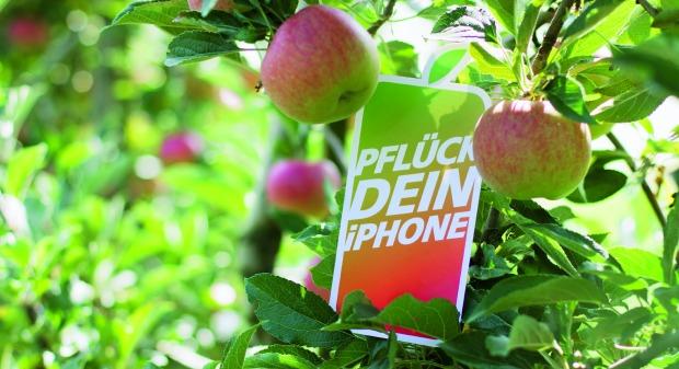 Sunrise: Die «Apple-Ernte» beginnt
