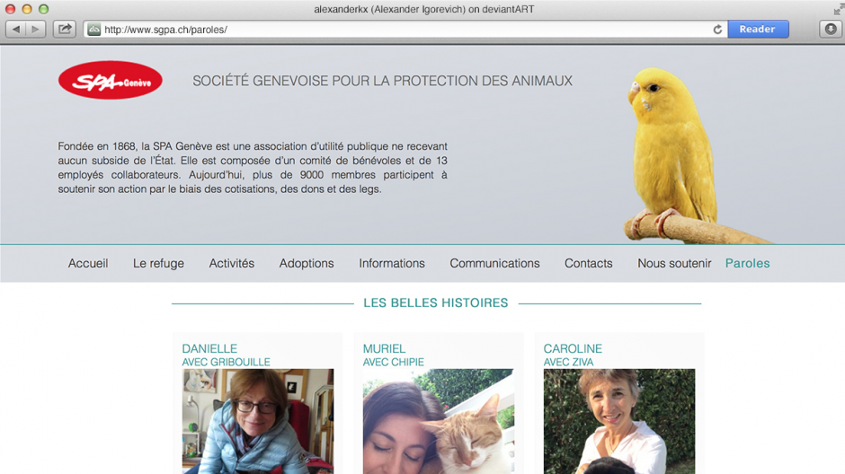 Havas Worldwide Genève: Tierselfies und Tarotkarten