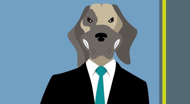 Tollkirsch: Eine CV-Datenbank names Max
