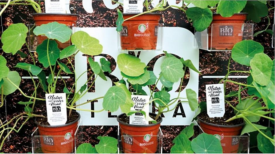 Pop Creative Services: Blühende Plakatwände für Bioterra