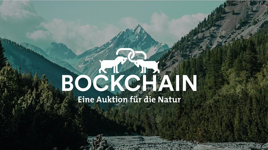Wirz: «Büta, büta, khum!»