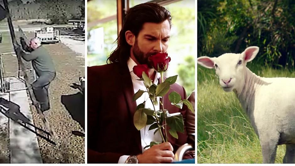 Youtube: Das sind die Top 5 der Online-Werbespots