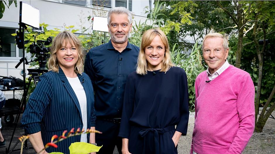 Sommerserie: Der «Club» blickt zurück auf das Coronajahr