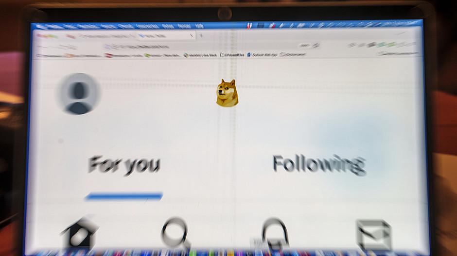 Twitter: Der Hund ist wieder weg
