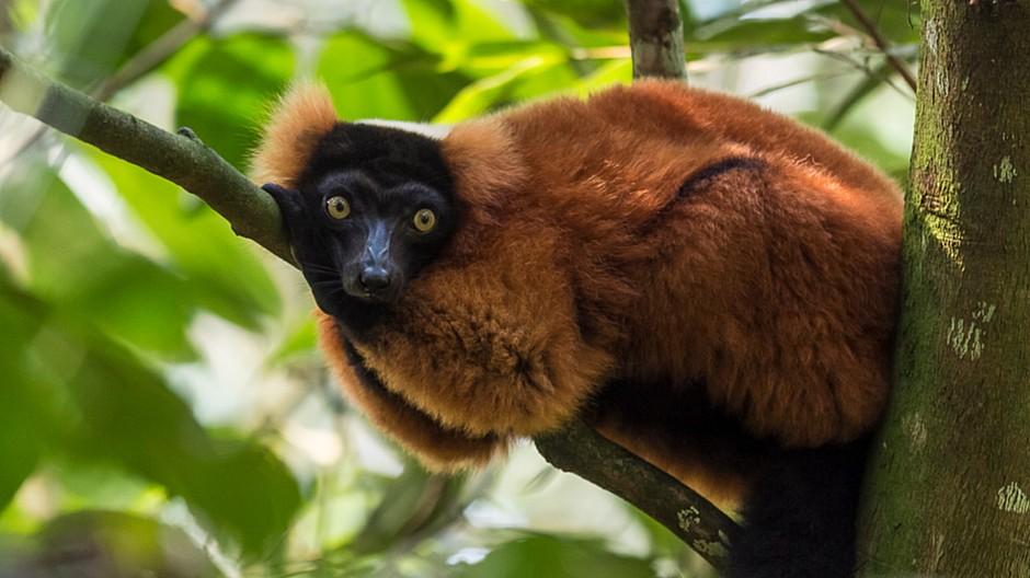 Rod Kommunikation: Die Agentur geht in den Zoo Zürich