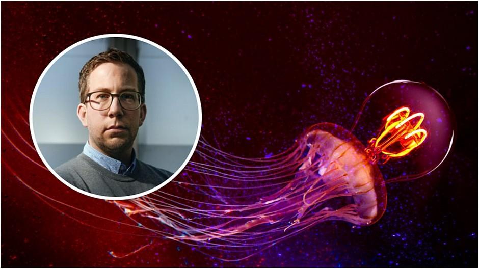 Digital Festival: «Die Learnings waren zahlreich»