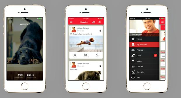 Dogalize: Social Media für Hundebesitzer boomt