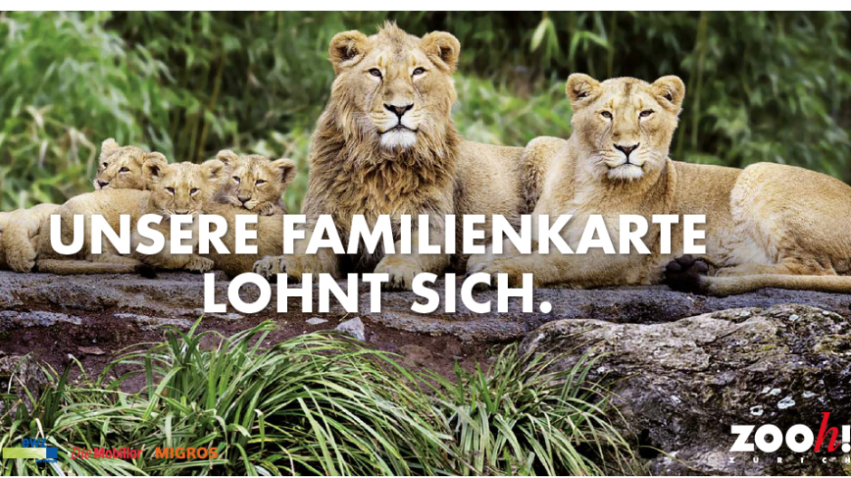 Matter Gretener Lesch: Tierisch gute Werbung