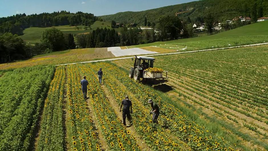 Migros: Ein Flug durch urtypische Schweizer Landschaften