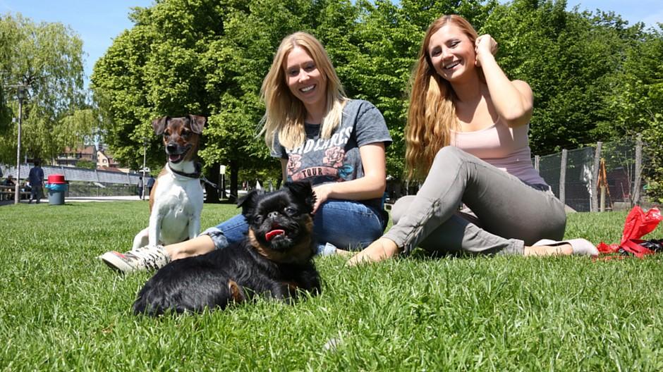 Contcept Communication: Eli Simic wirbt für die Zahnpflege von Hunden
