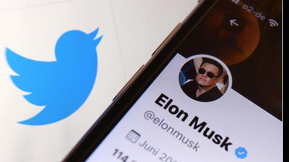 Soziale Medien: Elon Musk will Twitter doch kaufen