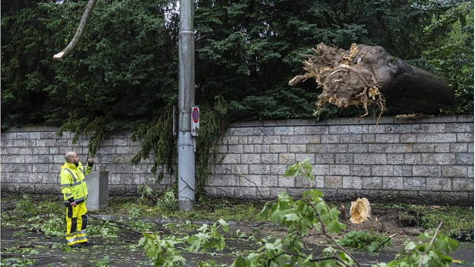 Unwetter: Entwurzelte Bäume und überflutete Strassen