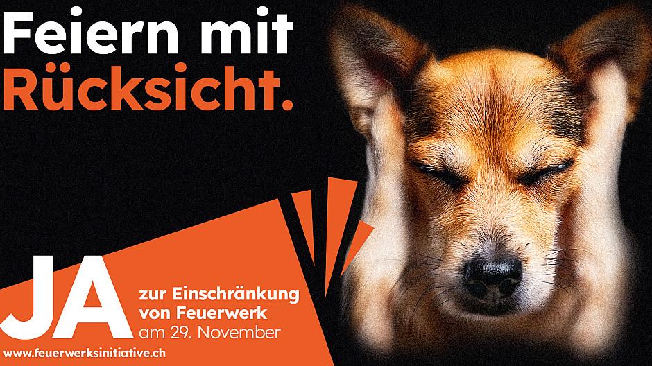Blast Off: Feuerwerksgegner sind zurück auf den Screens