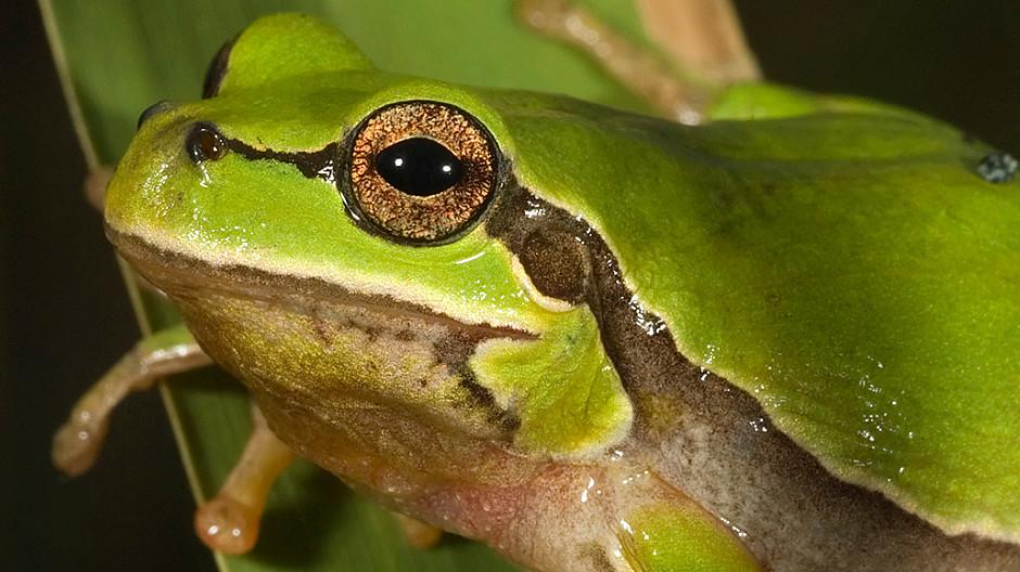 Pro Natura: Gemeinsam gegen die Biodiversitätskrise