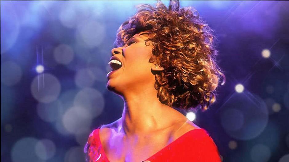 Verwechslungsgefahr: Gericht verbietet Tina-Turner-Plakat