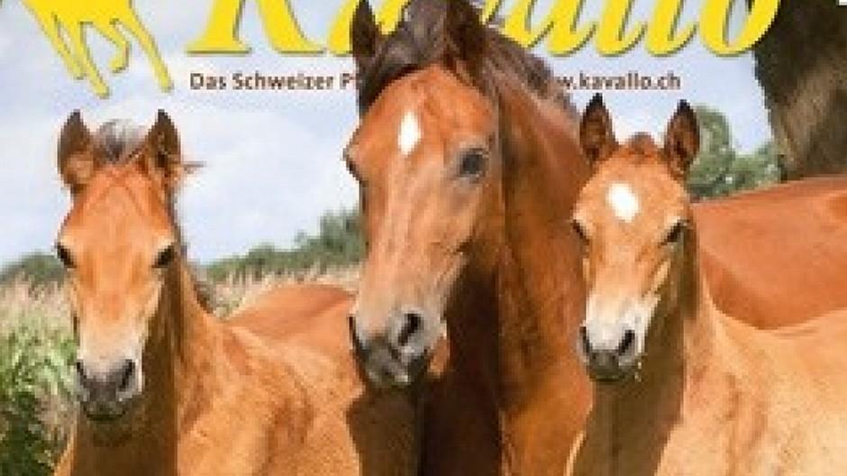Hippo-Media Verlag: «Kavallo» geht an Kromer Print