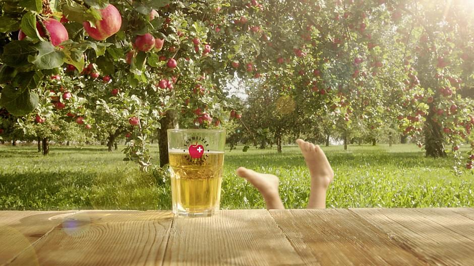 Unikat: Kindergekicher in einer Hochstammplantage