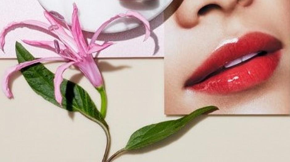 Inhalt und Form: Luxuskosmetik stilvoll in Szene gesetzt