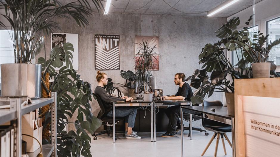 Collective: Luzerner Agentur hat sich Rebranding verpasst