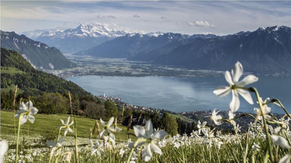 Webrepublic: Mandat von Schweiz Tourismus verteidigt