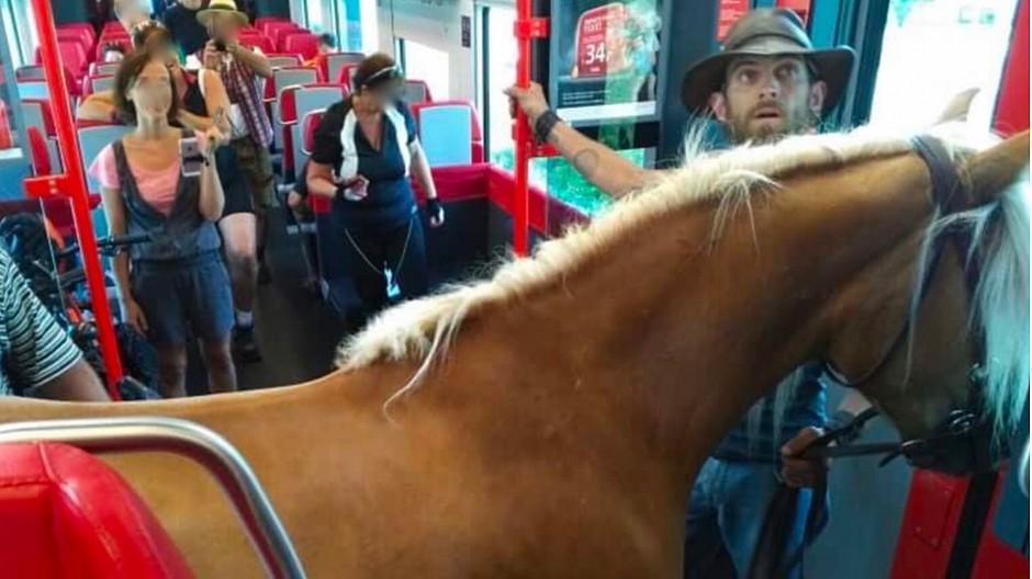 Kuriose Werbeaktion: Mann nimmt Pferd mit in die Bahn