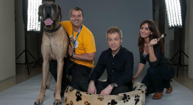 Vier Pfoten: Vier Promis nehmen im Hundebett Platz