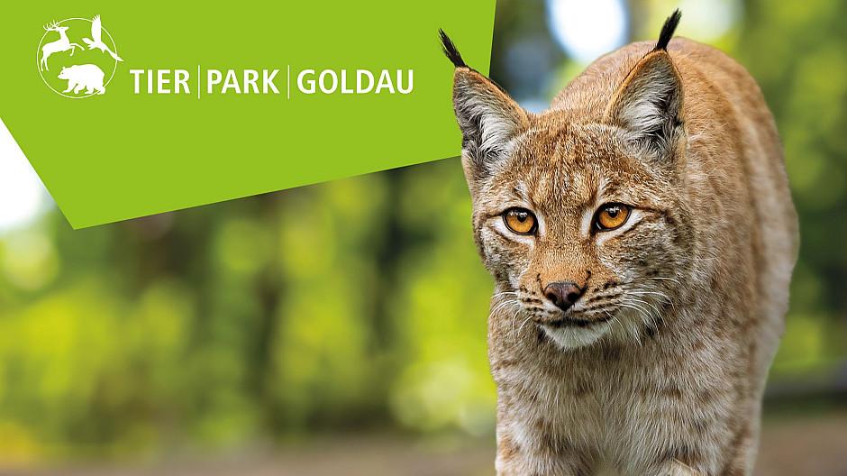 Bühler & Bühler: Neuer Auftritt für den Natur- und Tierpark Goldau