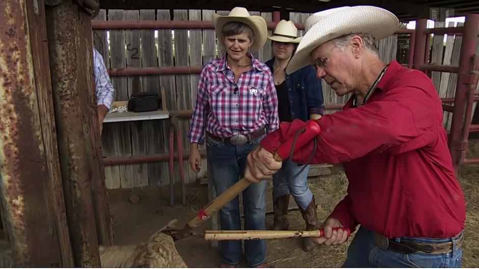SRF: Ombudsmann beanstandet «Landfrauen» in Texas