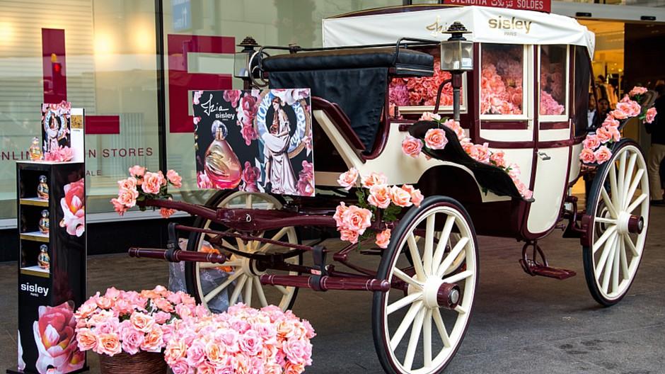 Dreiplus Werbearchitekten: Eine Kutsche voll mit Rosenranken