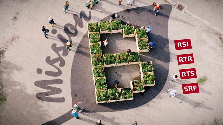 Mission B: SRF setzt Fokus auf biologische Vielfalt