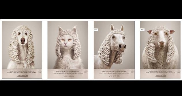Swiss Poster Award: "Tierische Richter" ist Plakat des Jahres 2013