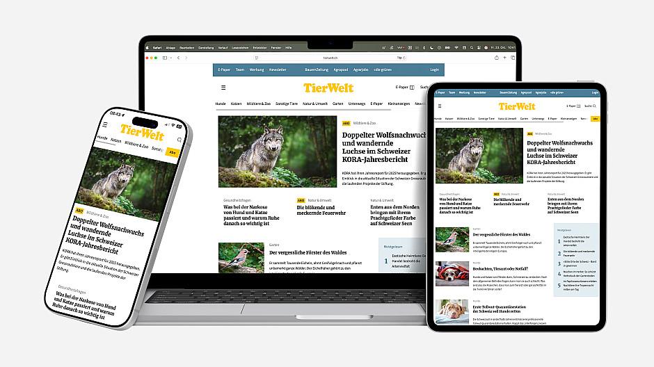 Agrarmedien: TierWelt-Portal geht im neuen Kleid online