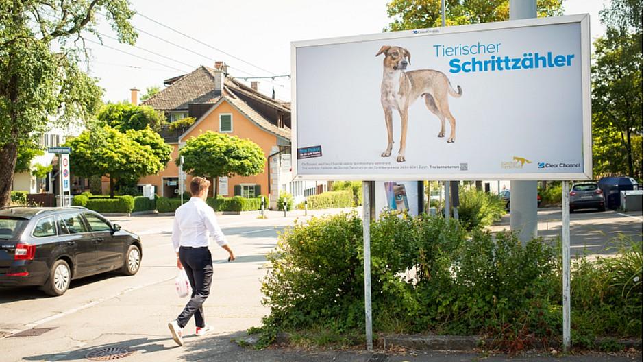 Clear Channel: Vermarkter sucht neues Zuhause für Tiere
