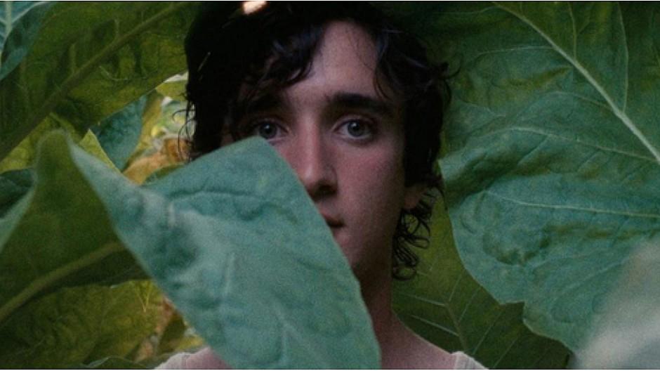 Internationales Filmfestival in Cannes: Vier Koproduktionen der SRG im Programm