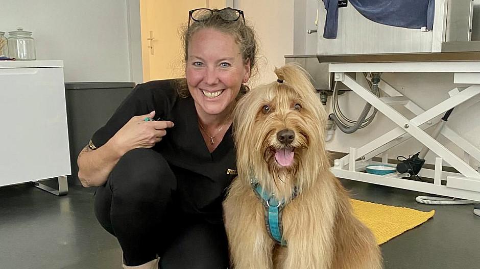 Felluxe: Von der Kommunikation zum Hundesalon
