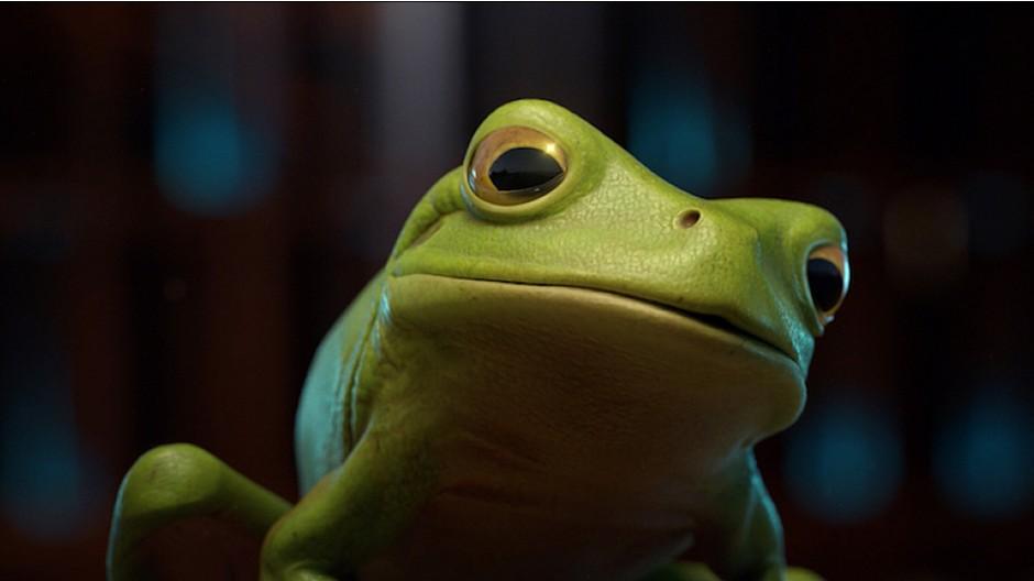 TBWA\Zürich: Wenn du im nächsten Leben ein Frosch bist