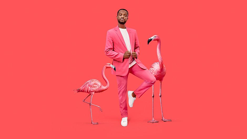 Neu Creative Agency: Wingo wirbt mit Flamingos und Flawingos