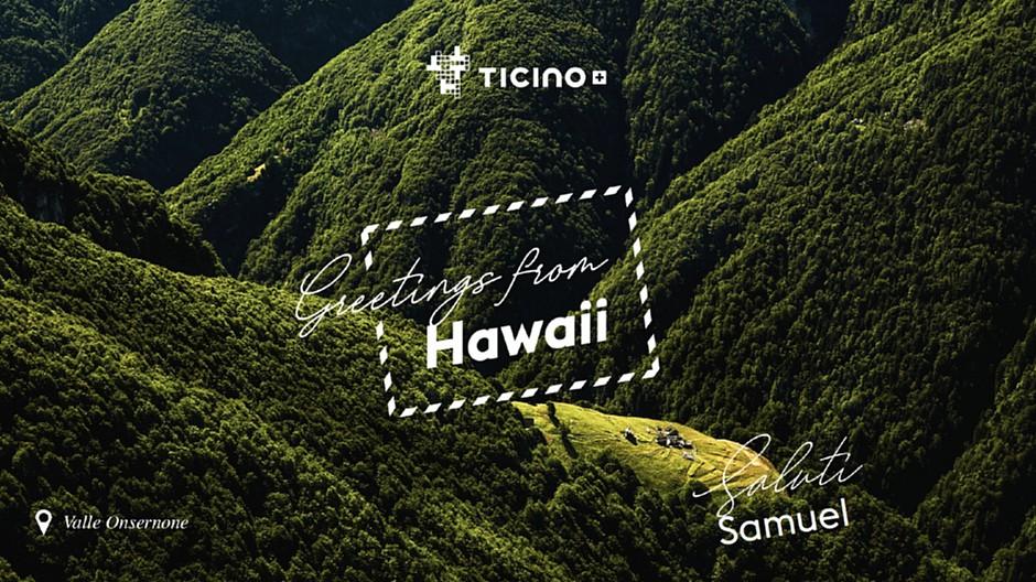 Zimmermann Communications: Tessin anstatt Bali, Rio oder Mexiko