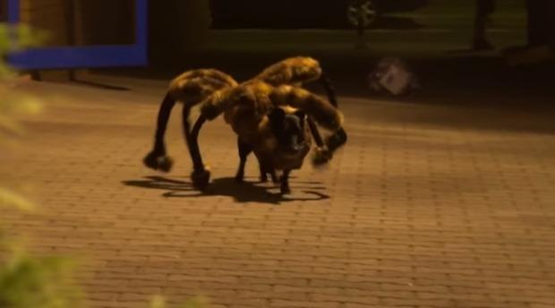 Youtube: Der Velodieb, Tina Turner und Supergeil