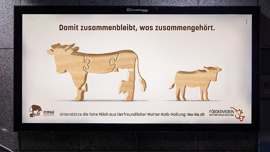 Ruf Lanz: Zusammengehören wie Puzzleteile