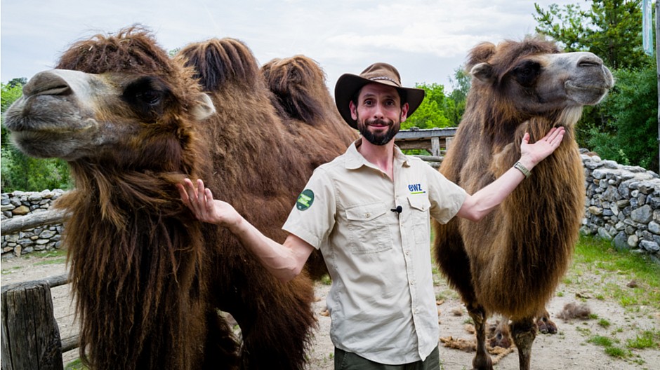 Jim & Jim: Die nächsten Zoo-Tipps des Rangers - PR/Corporate