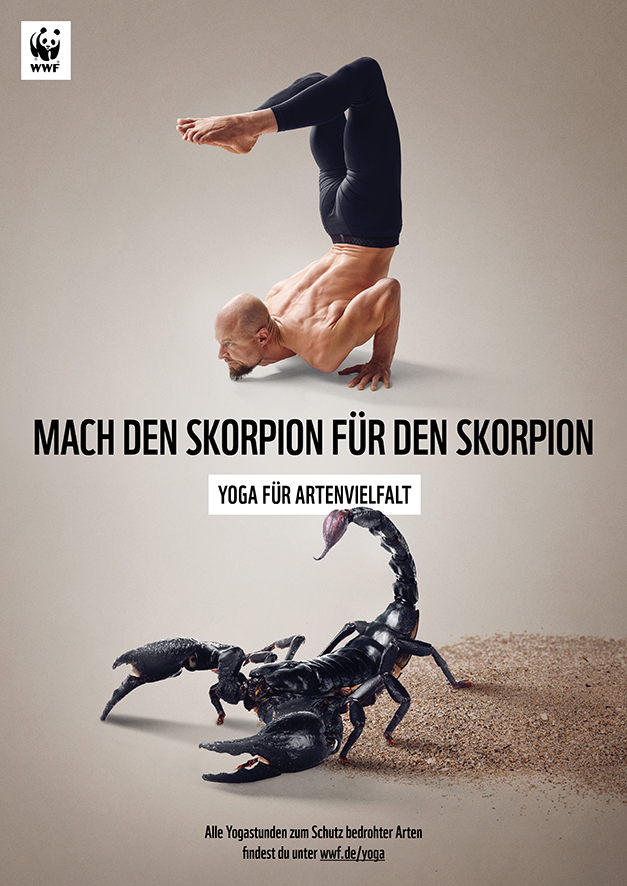 1_WWF_YfA_Plakat_Kaiserskorpion_klein