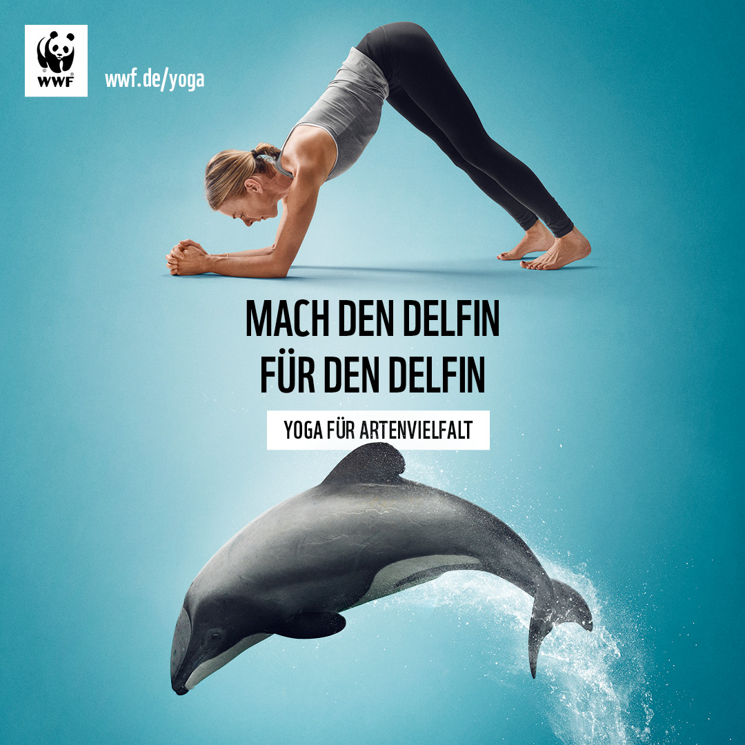 3_WWF_YfA_Instagram_MauiDelfin