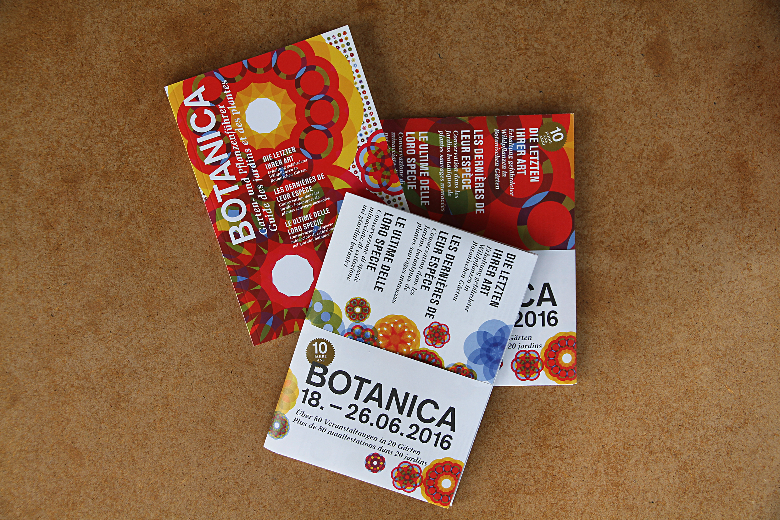 BOTANICA 2016-Broschur-Flyer_Lemongrass_Charis Arnold 02