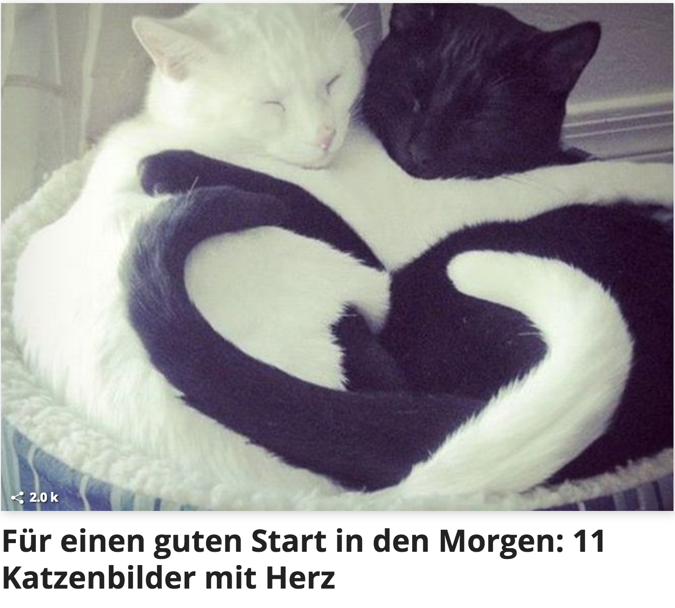 Bildschirmfoto 2016-11-01 um 10.26.38