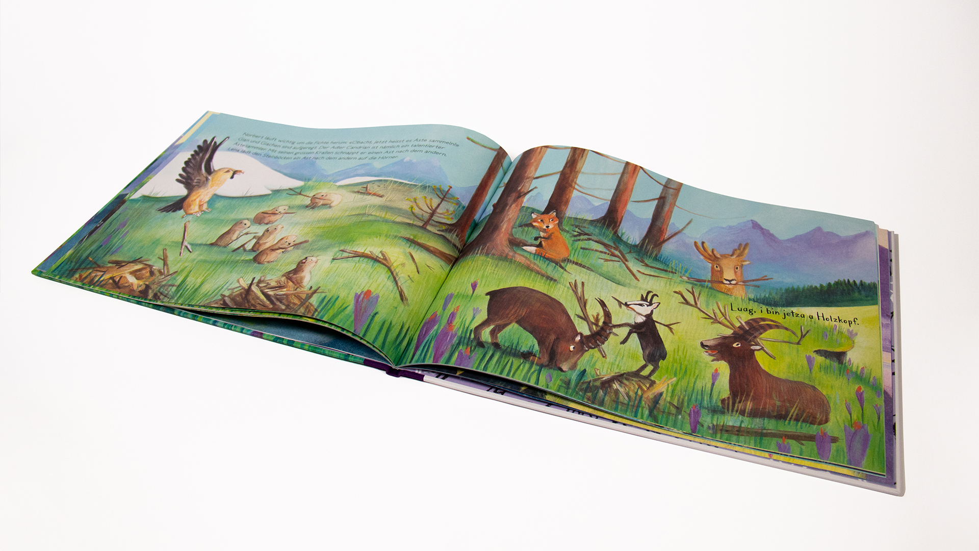 Gian und Giachen_Kinderbuch Frühling_Innenseite1